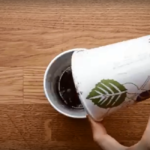 Istutustopsi ettevalmistamine4