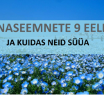 Linaseemnepõld10