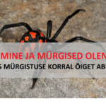 Elu5-Reisimine ja mürgised olendid – kuidas mürgistuse korral õiget abi anda