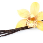 vanilla beans with blossom