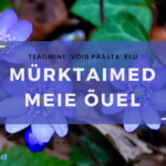 Elu5-Mürktaimed meie õuel