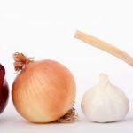 bulb-closeup-close-up-clove-159250