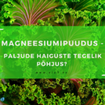 Elu5 – Magneesiumipuudus paljude haiguste tegelik põhjus?