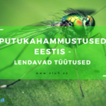 Elu5 – Artikkel – Pealkiri-Putukahammustused Eestis-Lendavad tüütused