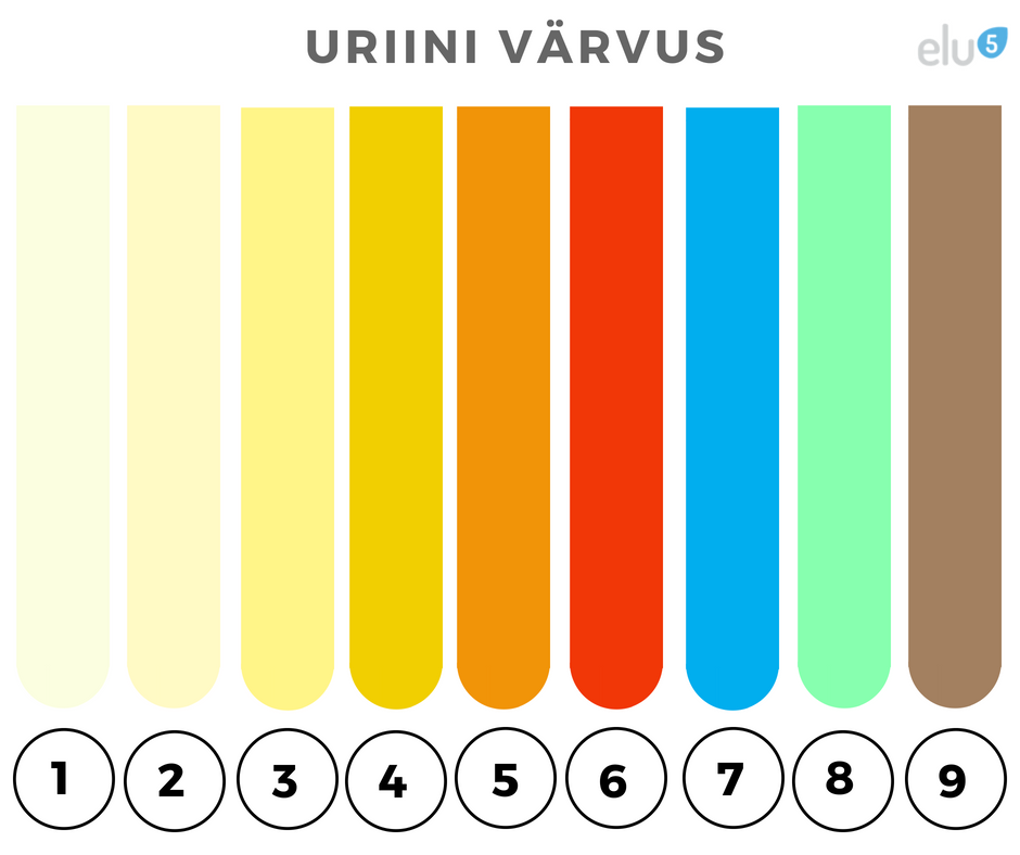 Elu5 - Uriini varvuse tabel. Mis värvi on sinu uriin