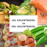 Elu5 – Artikkel – Pealkiri (LDL kolesterool ja HDL kolesterool)