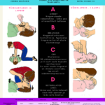Elustamise ABCD123