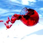 wine-619452_960_720