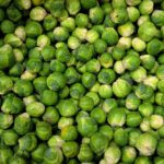 brussels-sprouts-bunch-cabbage-41171