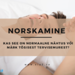 norskamine
